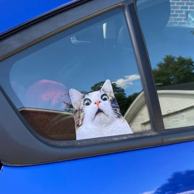 2 szt. Naklejki Strach na Koty - Śmieszne Naklejki z Kotami w 2 Rozmiarach, Śmieszny Kot, Śmieszna Naklejka z Kotem, Naklejka z Kotem