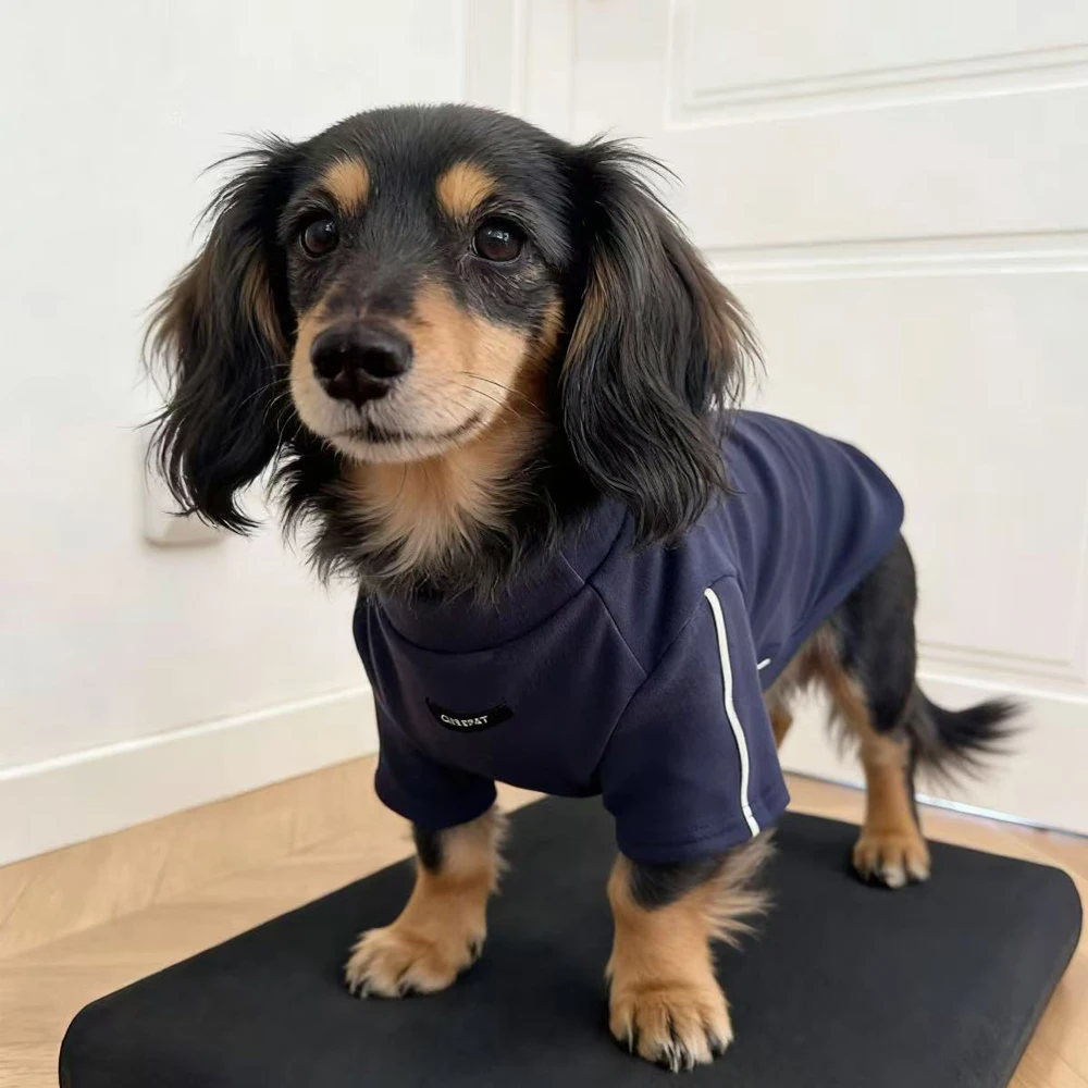 Manteau doux réfléchissant à manches longues pour chiens (Wiener Dogs, Badger Dogs, Dachshund) – Idéal pour le printemps – Costume élégant