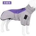 Gray-purple