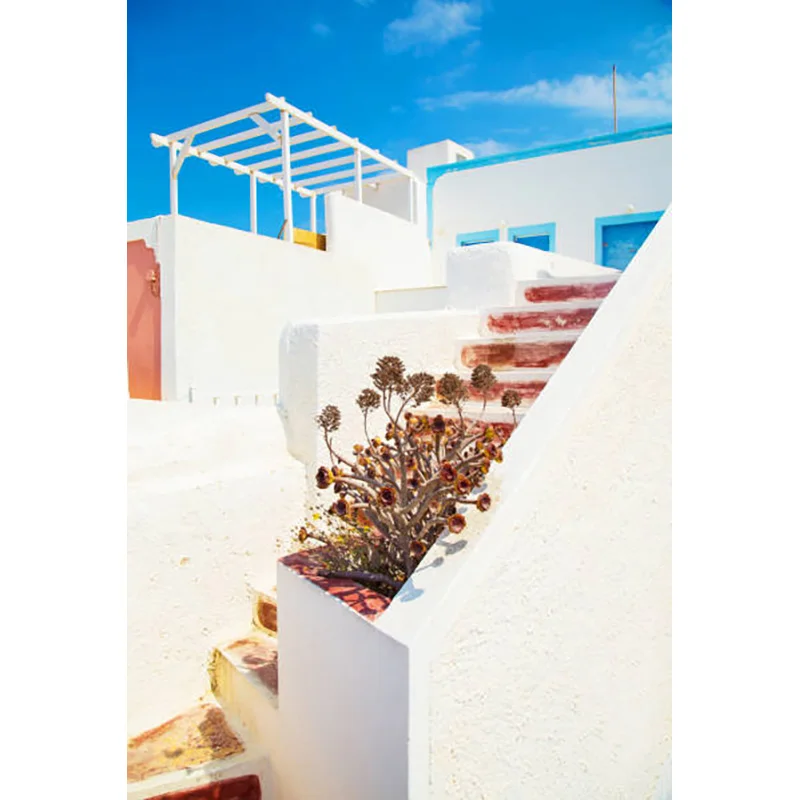 XC-09พื้นหลังสำหรับถ่ายภาพปาร์ตี้วันหยุดทะเลกรีกซานโตรินีดอกไม้สถาปัตยกรรมเมืองเบย์