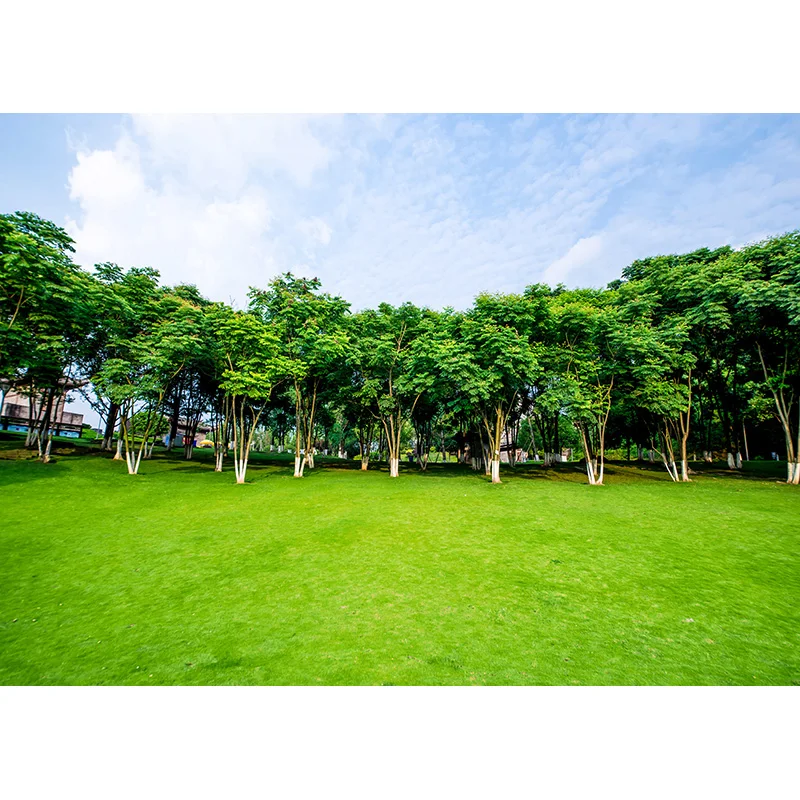 Tropical Forest Green Trees Plants Leaves Vinyl Photography Backdrops Props Natural Scenery Photo Studio Background 21901REL-02