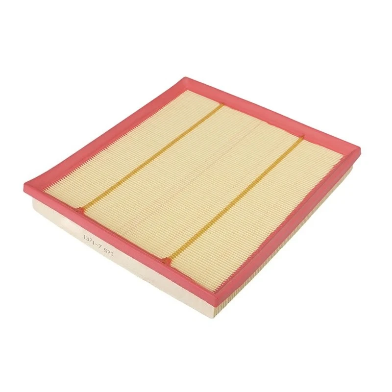 Car Air Filter OEM 13717571355 for BMW X3 X4 X5 X6 3.0T 5 Series 6 Series 7 Series 3.0T F02 F06 F07 F10 F11 F12 F13 3.0T