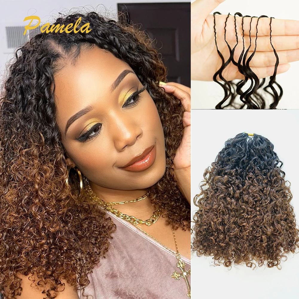 Ombre 1b/4 Color Afro Kinky Burmese Curly Crochet Human Hair Knotless Pre-Separated Crochet Feather Hair Extensions For Woman