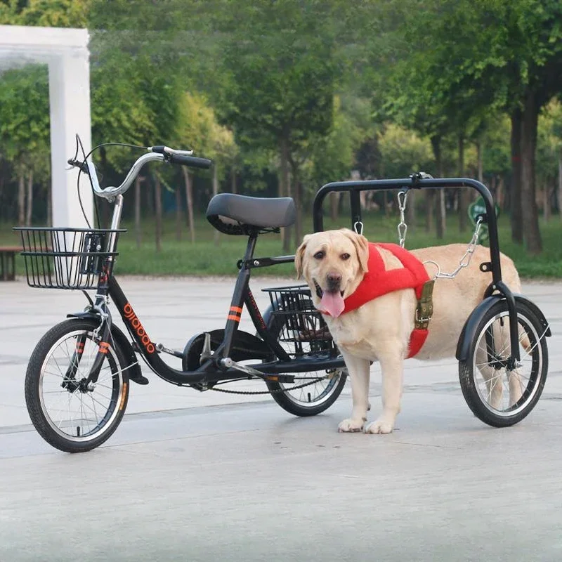 

Dedicated for dog walking tricycles for people to sit on