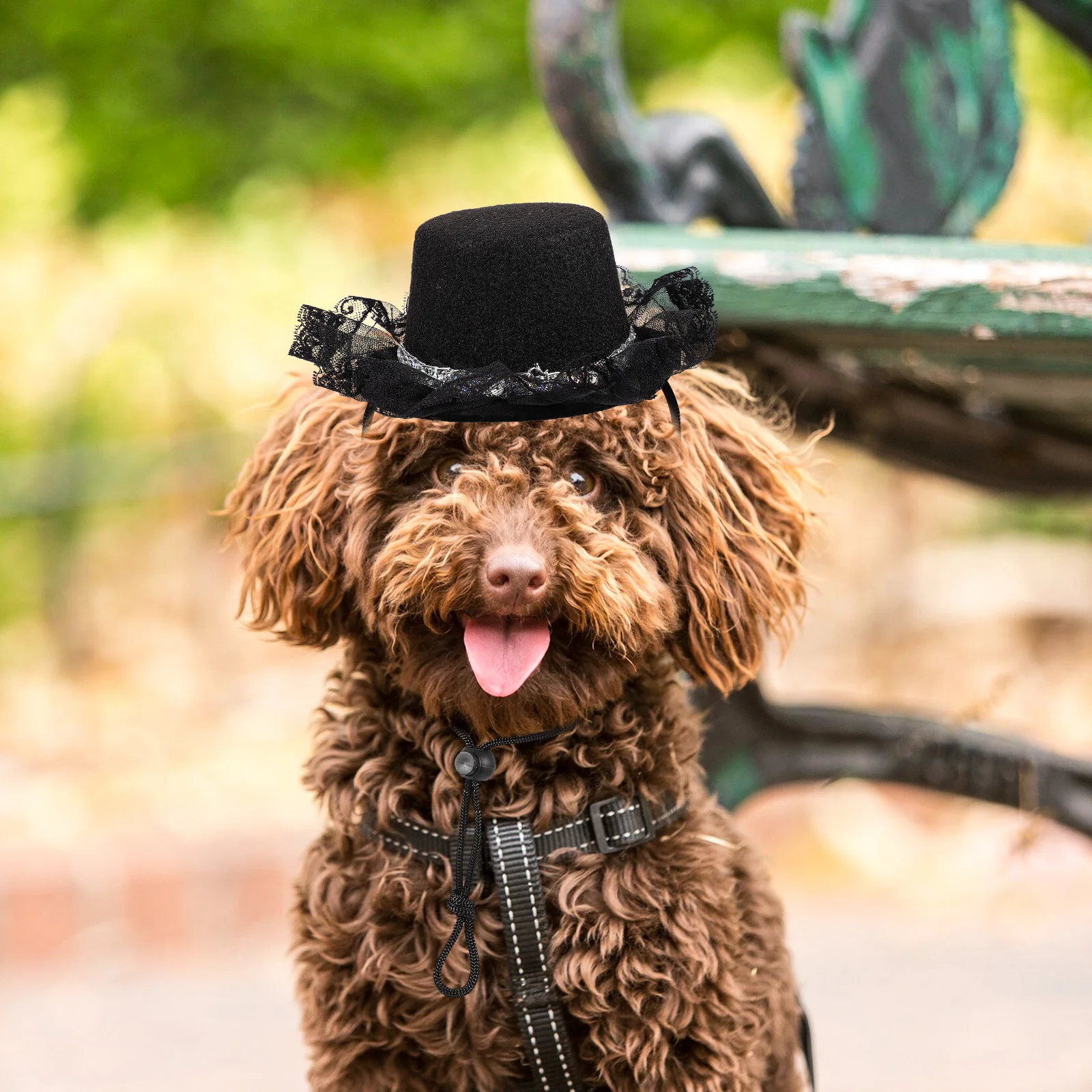 

Premium Pet Bowler Hat Adjustable Cat Accessory Durable Decorative Kitten Hat Perfect for Festivals Parties Cosplay