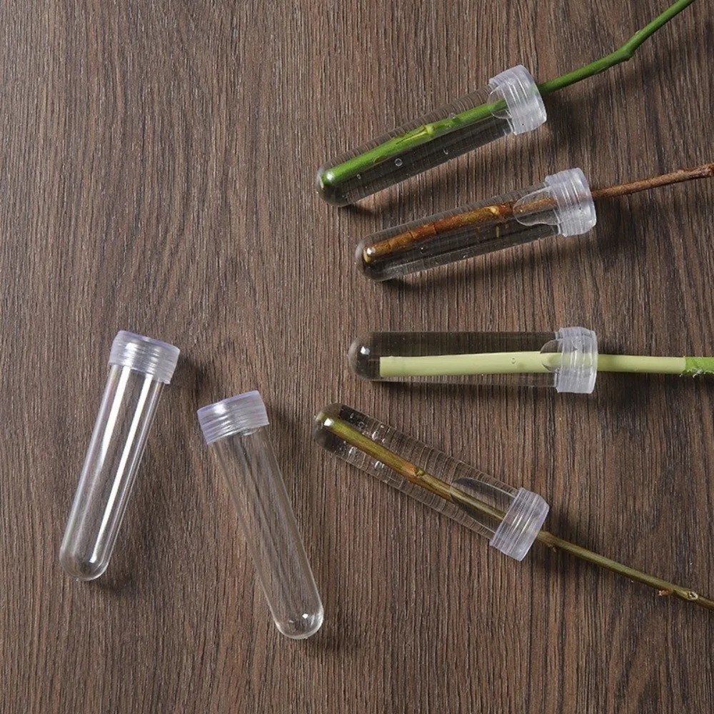 100Pcs Transparent Plastic Flower Preservation Pipe Floral Art Plant Fresh-keeping Nutritional Flower Tube with Caps Leak-Proof