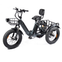 PULUMA SL001 Adult Electric Tricycle 500W*2 Motors 48V 13.5Ah Dual-Battery E- Tricycle 20*4 Inch Tires City Electric Tricycle