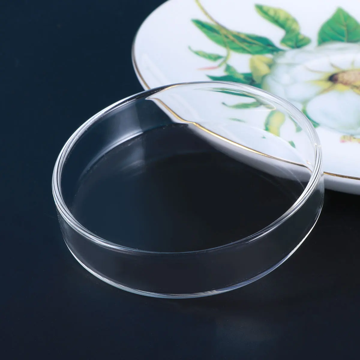 

Ornamental Glass Shrimp Food Basin Round Feeding Dish for Aquariums Multipurpose Feeder Bowl High Brightness Smooth Pet Feeding