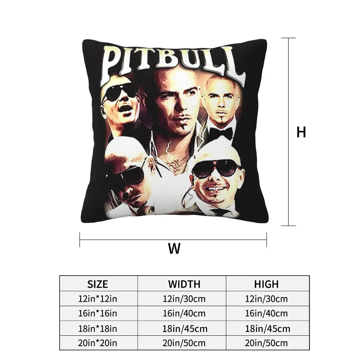 Pitbull Mr.Worldwide Vintage 2 pcs Square Pillowcase Pillow Cover Cushion Zip Decorative Comfort Throw Pillow for Home Sofa