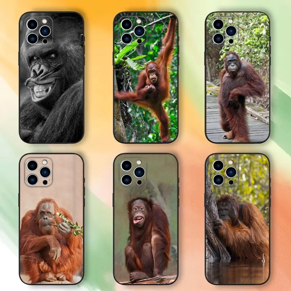 Monkey Sipping baboon Phone Case For iPhone 16,15,14,13,12,11 Plus,Pro Max,XS,X,XR,SE,Mini,8,7，Soft Silicone Black Cover