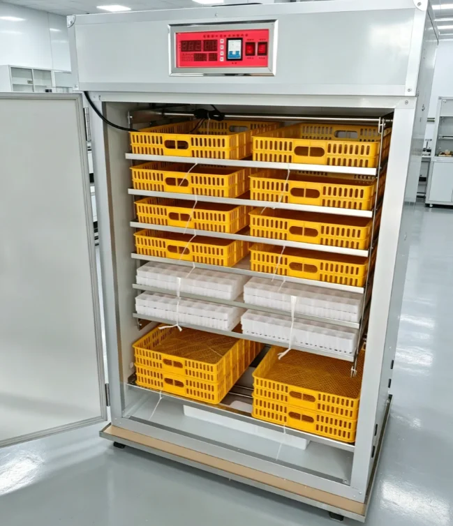 Stainless Steel Poultry Egg In - Quail Egg Incubator ulasan dan harga