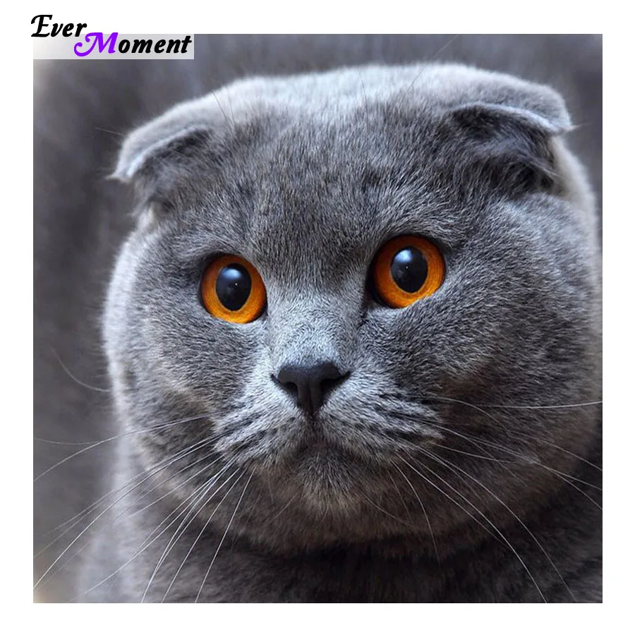 

Decorative Painting Rhinestone Mosaic Cross Stitch Diamond Pattern Diamond Embroidery Cat DIY Diamond Painting Stickers ASF237