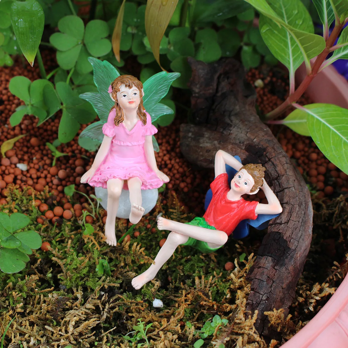2pcs Couples Looking Up At The - đánh giá và giá Up Bonsai Garden