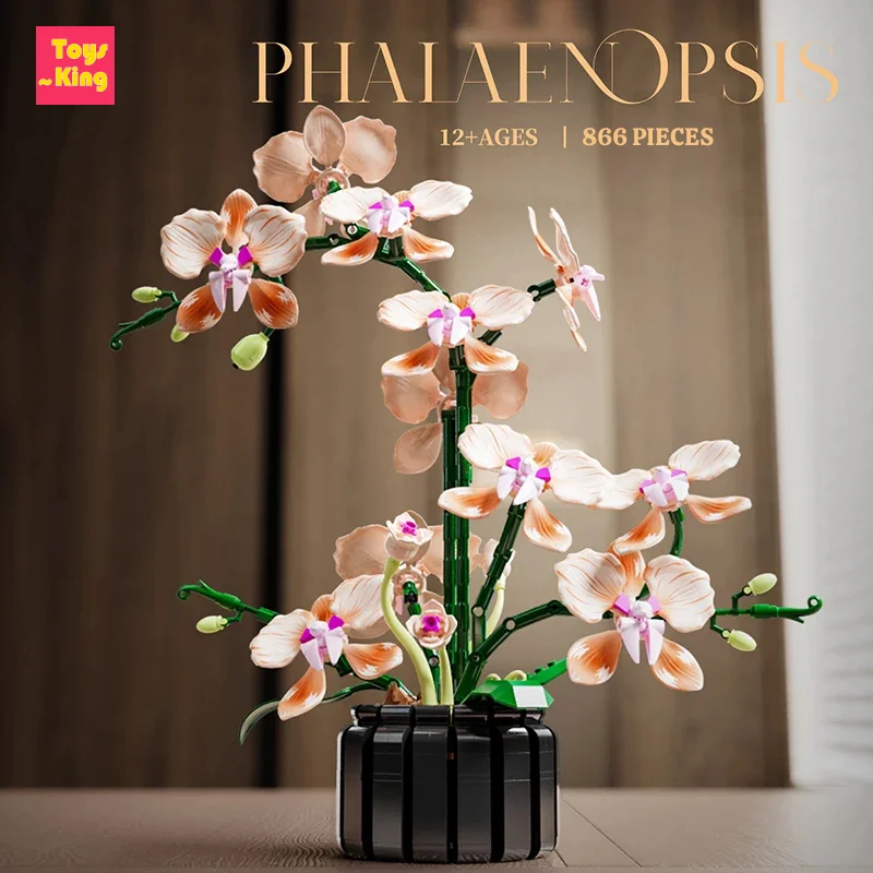 

Шампанское, орхидея, строительные блоки, букет, растение, цветок, сделай сам, сборка, кирпичи, модель бонсай, детские игрушки, романтические подарки на день Святого Валентина