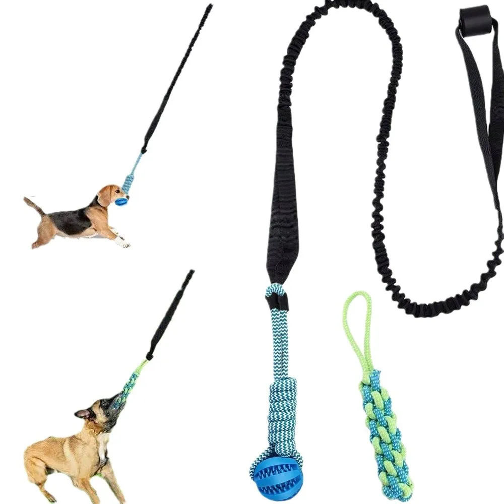 Pet Dog Interactive Chew Toy Teeth Cleaning Durable Chew Rope Tug Toy Kit for Outdoor and Indoor Use