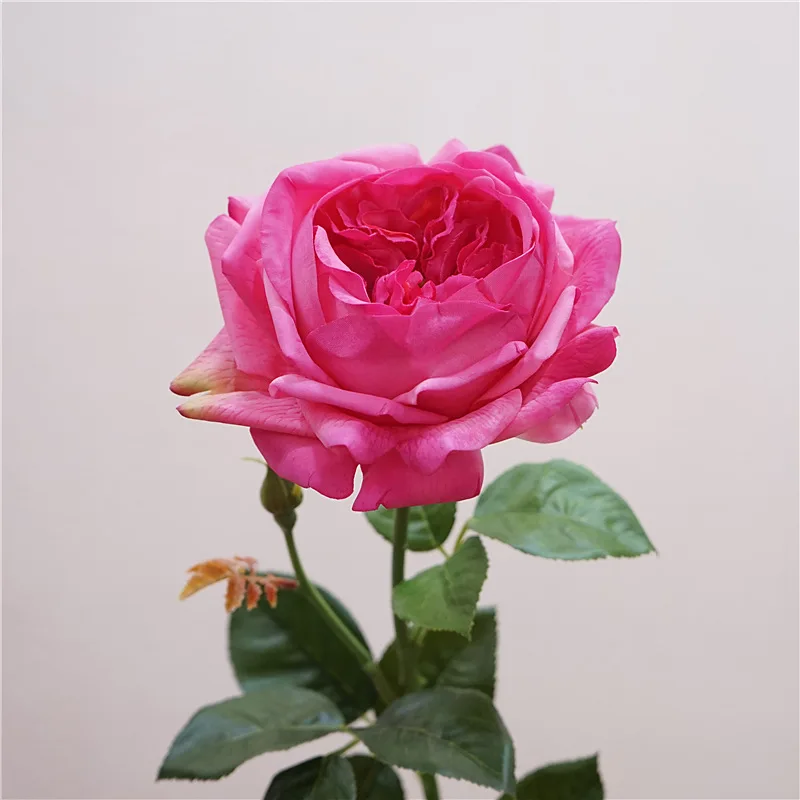 High Quality Simulated Moisturizing Austin Rose Nordic Style Home Furnishing Wedding Party Roadmap Decoration Eternal Rose