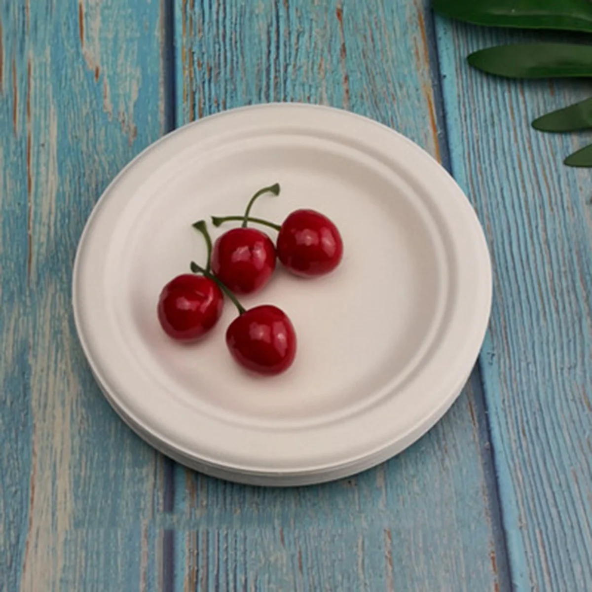 100% Compostable Disposable Paper Plates Bulk 9 Inch 50 Pack, Bamboo Plates, Eco Friendly, Biodegradable