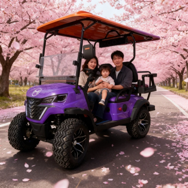 2024 أفضل بالجملة عربة جولف كهربائية بطارية ليثيوم 48 فولت 72 فولت عربة جولف نمط مخصص 2 4 6 مقاعد عربة جولف كهربائية #2