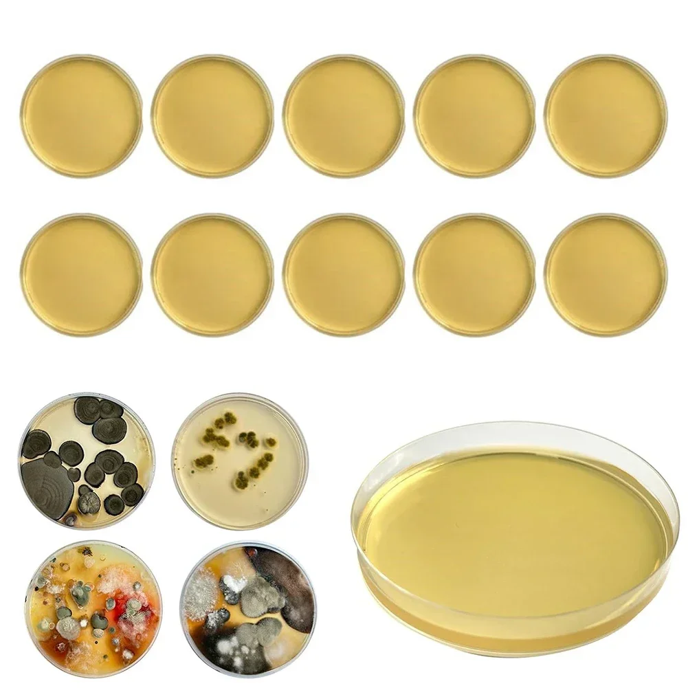 

10pcs Household Molds Detection Kit For Molds Testing Kit Home DIY For Molds Testing HVAC System Kit Detector Quick Results