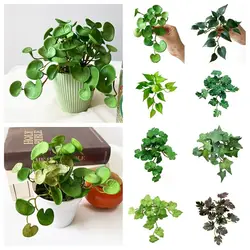 Soft Glue Artificial Plant Green Plants Wall Succulent Plants Leaves Garden Decoration EVA Faux Copper Coin Grass Home Office