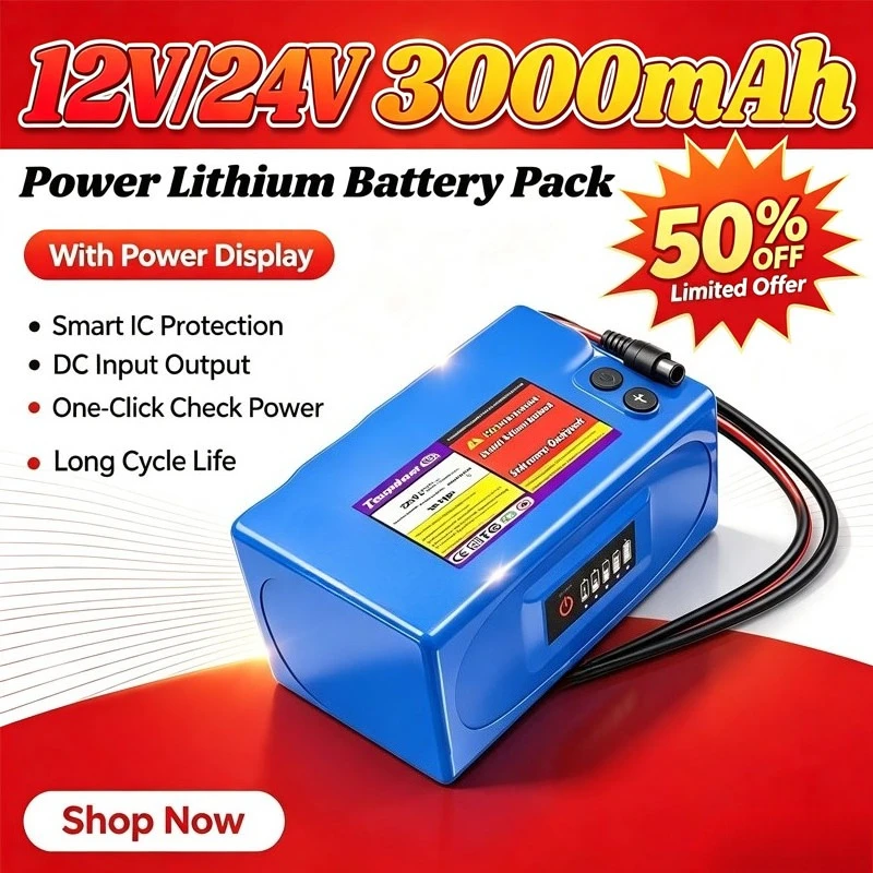12V/24V Rechargeable Lithium Polymer BatteryPack DC Input Output with 5 Level Power Display for Outdoor Light CCTV Speaker