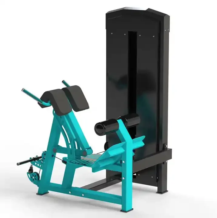 

New Type Commercial Gym Machines Bodybuilding Gym Equipment Fitness Strength Machine Back Extension Gym Center