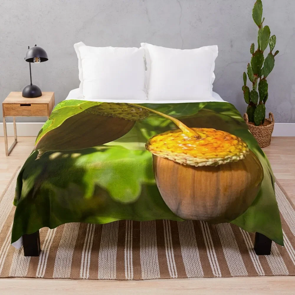 

Acorns In The Woods Throw Blanket Blankets Sofas Of Decoration For Decorative Sofa decorative Flannels Blankets