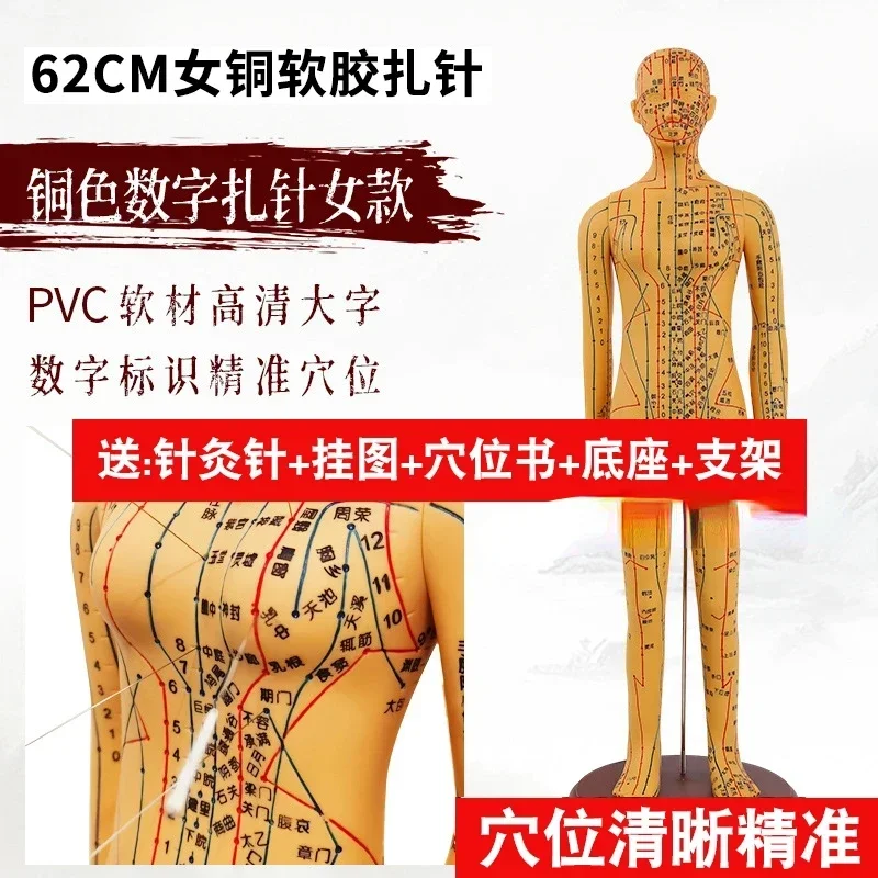 Acupuncture and moxibustion human acupoints and meridians model figure of twelve bronze figures in traditional Chinese medicine