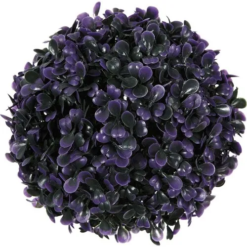 Vitale Top Purple Plant Small Size