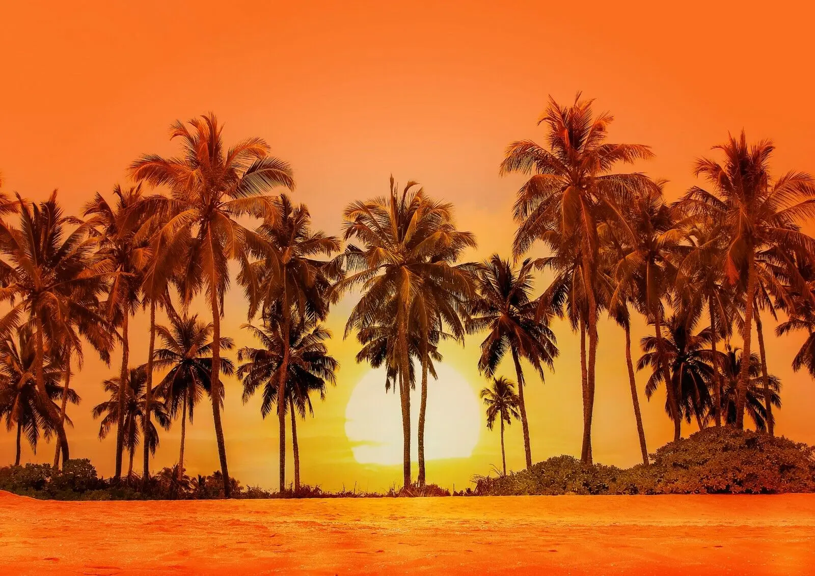 

Cool Tropical Orange Sunset Print Art Canvas Poster For Living Room Decor Home Wall Picture