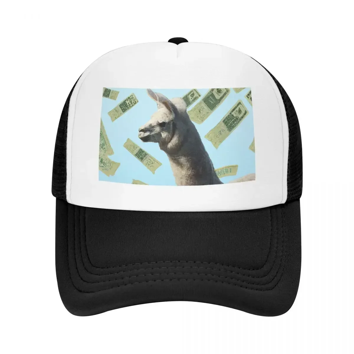 Raining Money on Llama Baseball Cap Designer Hat Fashion Beach Golf Cap Thermal Visor For Men Women's