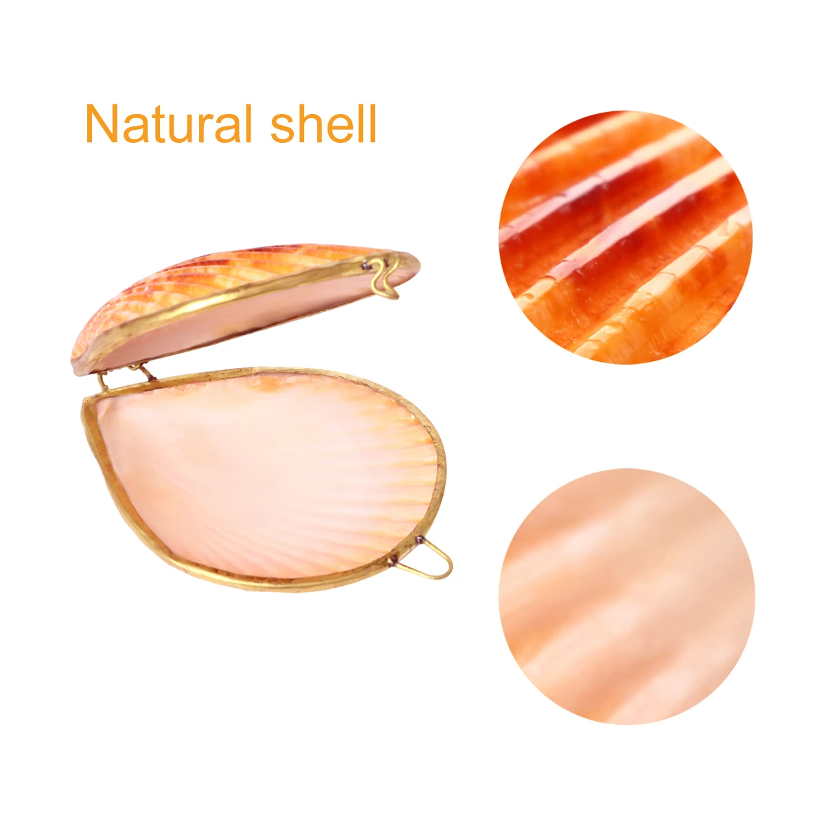 

Natural Shell Jewelry Box 6cm Sea Style Jewelry Organizer Ring Earring Container Scallop Color for Engagement Travel Wedding