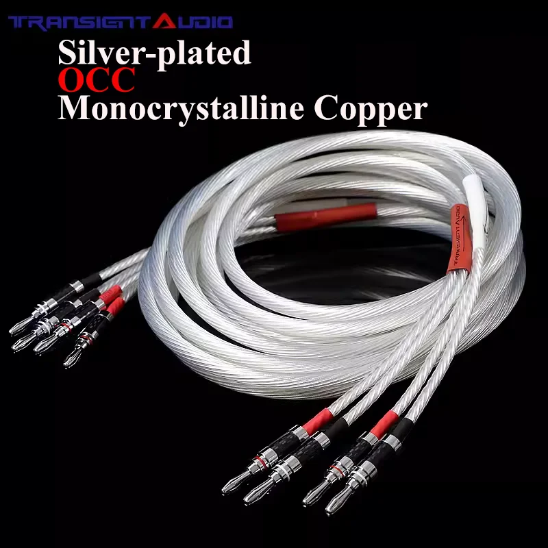 Dutch Imported HiFi 5NOCC Audio Cable: Monocrystalline Copper with Pure Silver Plating, for HIFI Amps, Speakers