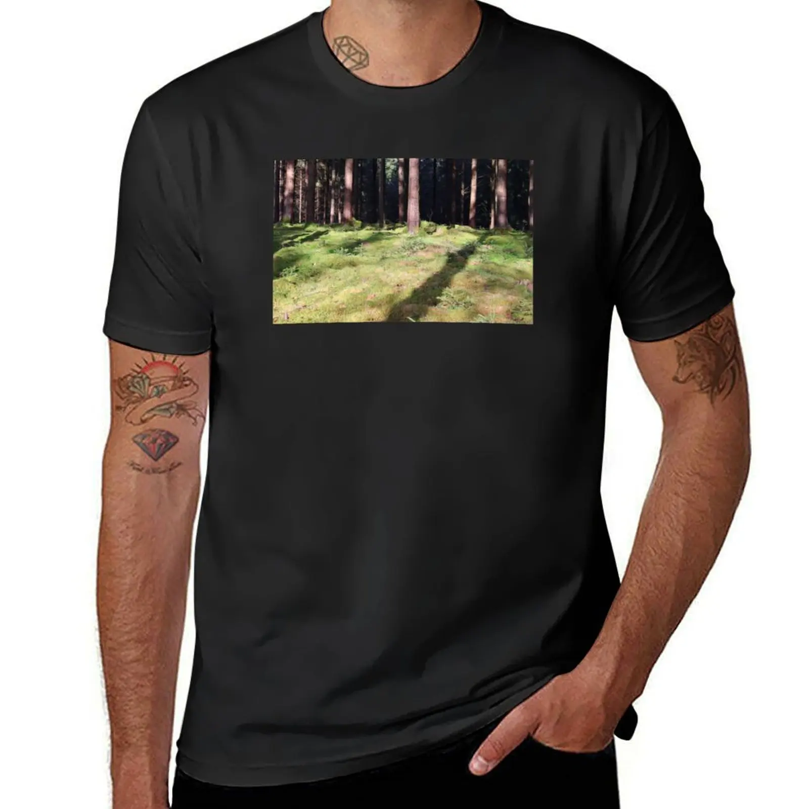 Conifer forest in sunlight with Moss T-Shirt Short sleeve tee boys whites tops t shirts for men pack