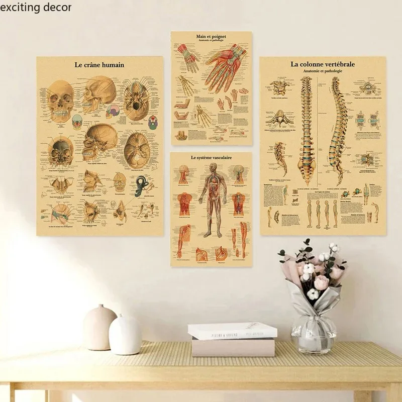 English German French Spanish Italian Version Anatomy The Body Structure Poster Retro Canvas Medical Room Art Wall Decor