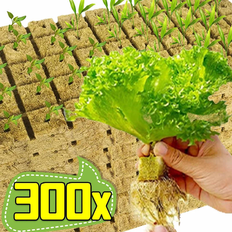 Seedling Grow Cubes Sponge Block Starter Plugs Rock Wool Plant Cube Soilless Hydroponics Cuttings Block Propagation Grow Supply