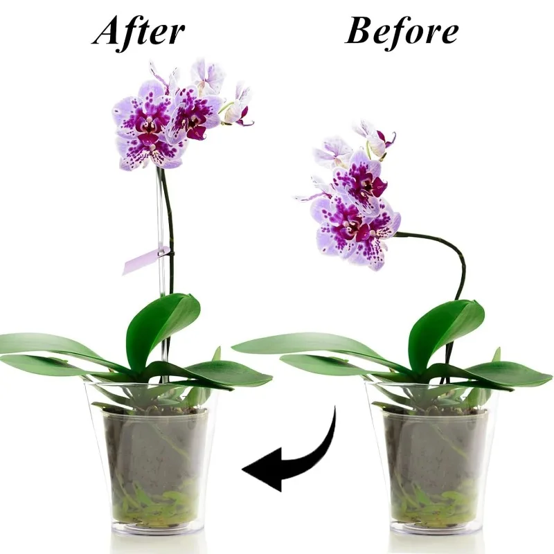 Estaca de Soporte Transparente Reutilizable para Flores, Estacas Acrílicas para Plantas, Varillas Transparentes para Jardín, Varillas de Fijación para Orquídeas en Maceta, Estructura de Soporte para Plantas Trepadoras