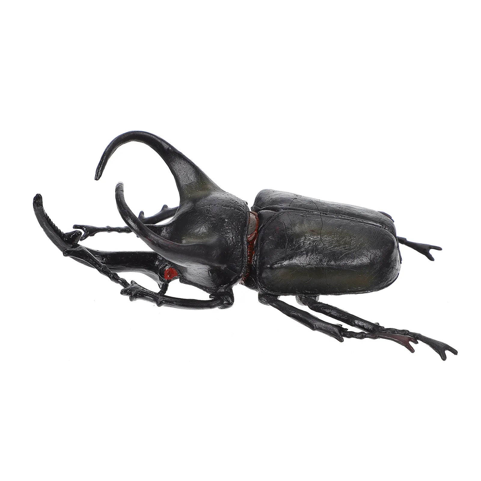 Beetle Simulation Insect Specimen PVC Educational Kids Exploration Decoration Animal Science Study Beetle Model