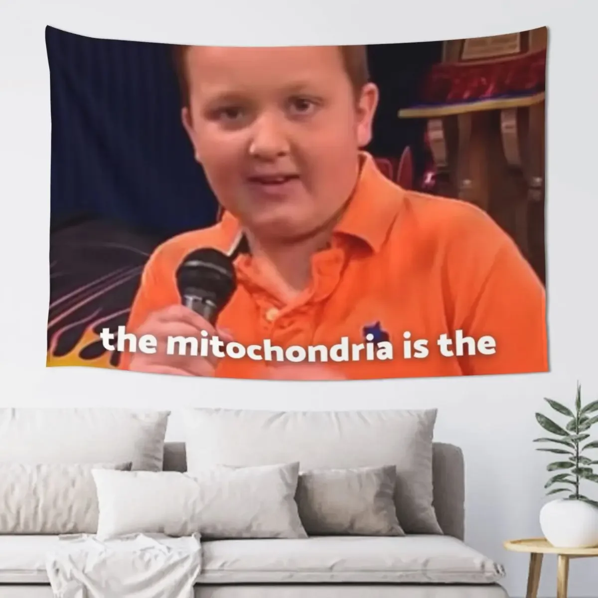 Teacher Gibby - iCarly Tapestry Decoration Wall Room Decorations Aesthetics Tapestry