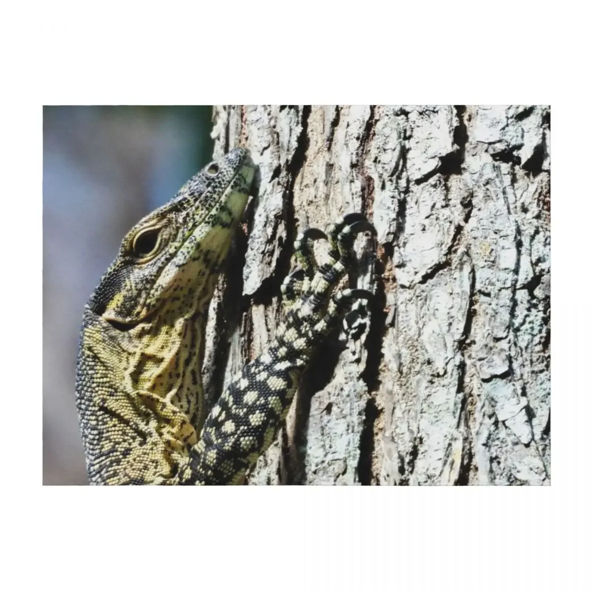 

Goanna monitor Lizard hugging a tree Throw Blanket Decorative Sofa Travel christmas gifts Flannel Fabric Blankets