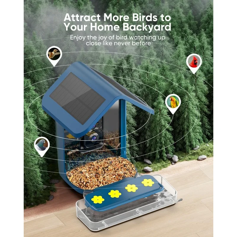 Backyard Smart Hummingbird Feeder - 2K Real-time AI Recognition Automatically Captures Bird Video Pictures