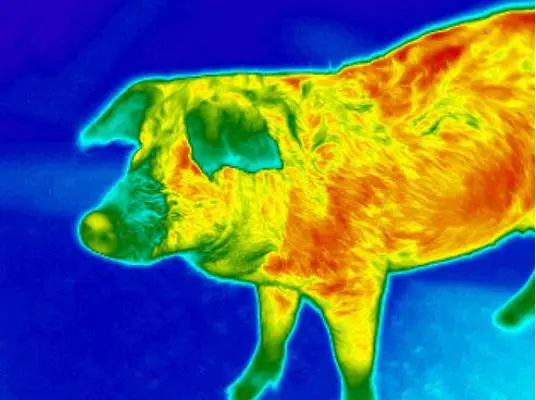 FLIR Lepton 1.5 2.0 2.5 3.0 3.5 SPI Raspberry Pi ภาพความร้อนอินฟราเรดการวัดอุณหภูมิ Suite 500-0771-01