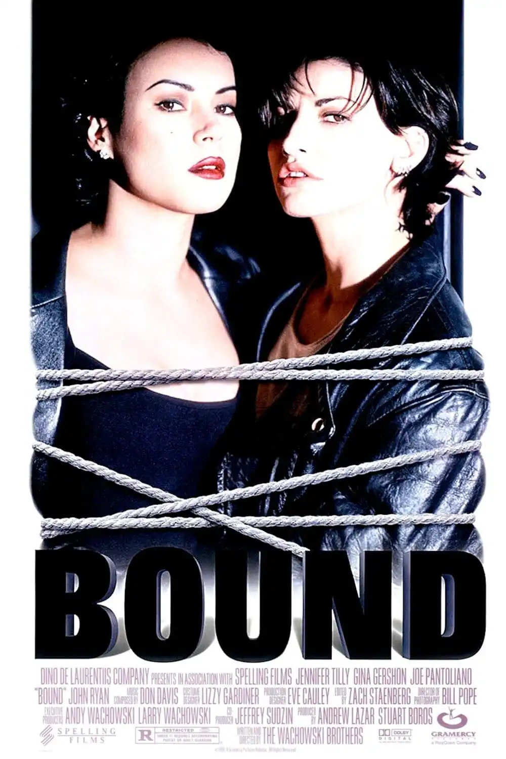 Hot Rare Movie Bound (1996) Art SILK POSTER Wall Art Home Decorative painting