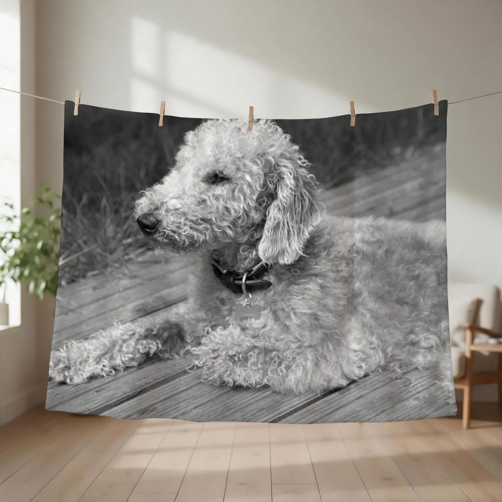 Bedlington Terrier Photo Throw Blanket couch cozy soft plush fuzzy picnic outdoor blanket
