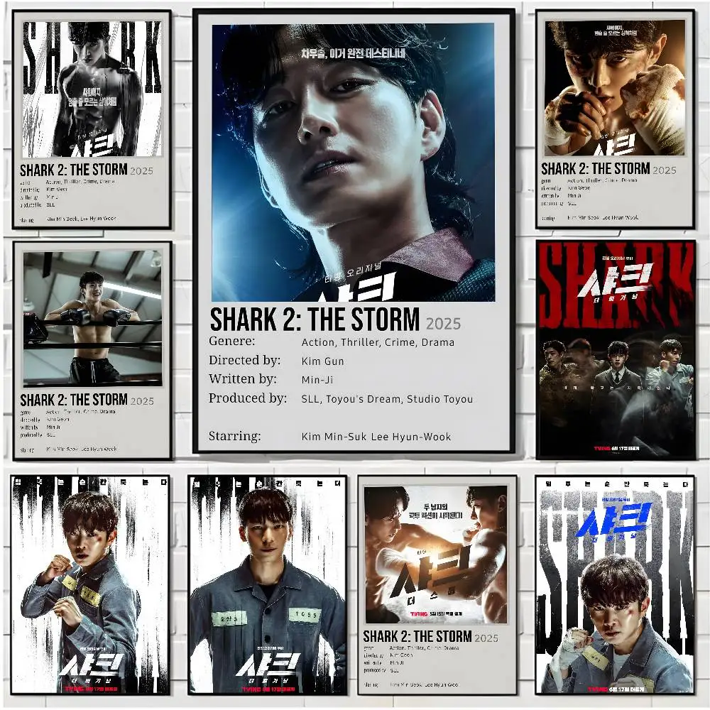 

Hot Kdrama S-Shark The Storm Poster HD art poster for home living room bar office decoration sticky waterproof