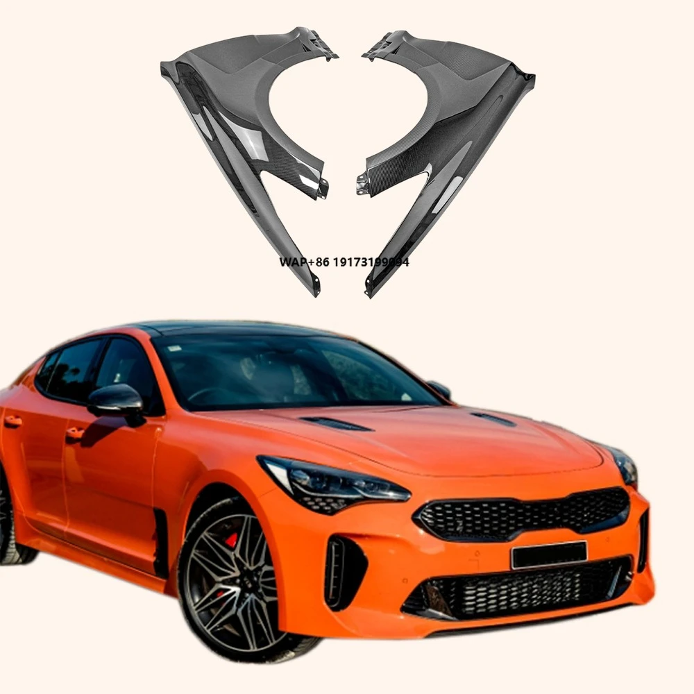 

For Kia Stinger Sedan 5 Door 2018-23 Body Parts EPA Type Carbon Front Vented Fender Pair