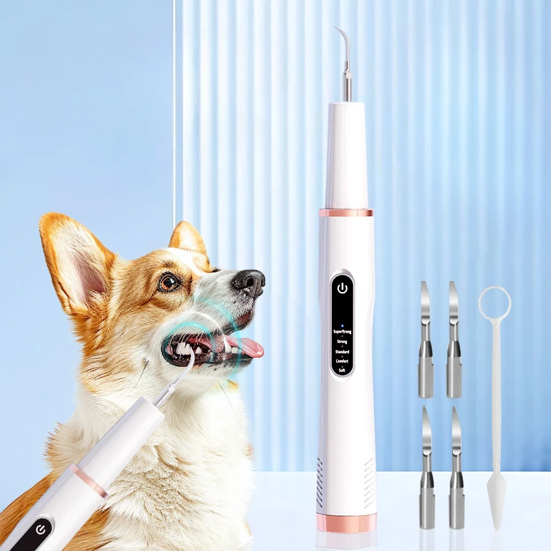 Silent Pet Ultrasonic Dental Cleaner Waterproof Dog Teeth Cleaning Tool USB Charging Beauty Equipment Teeth 5 Modes Pet Supplies