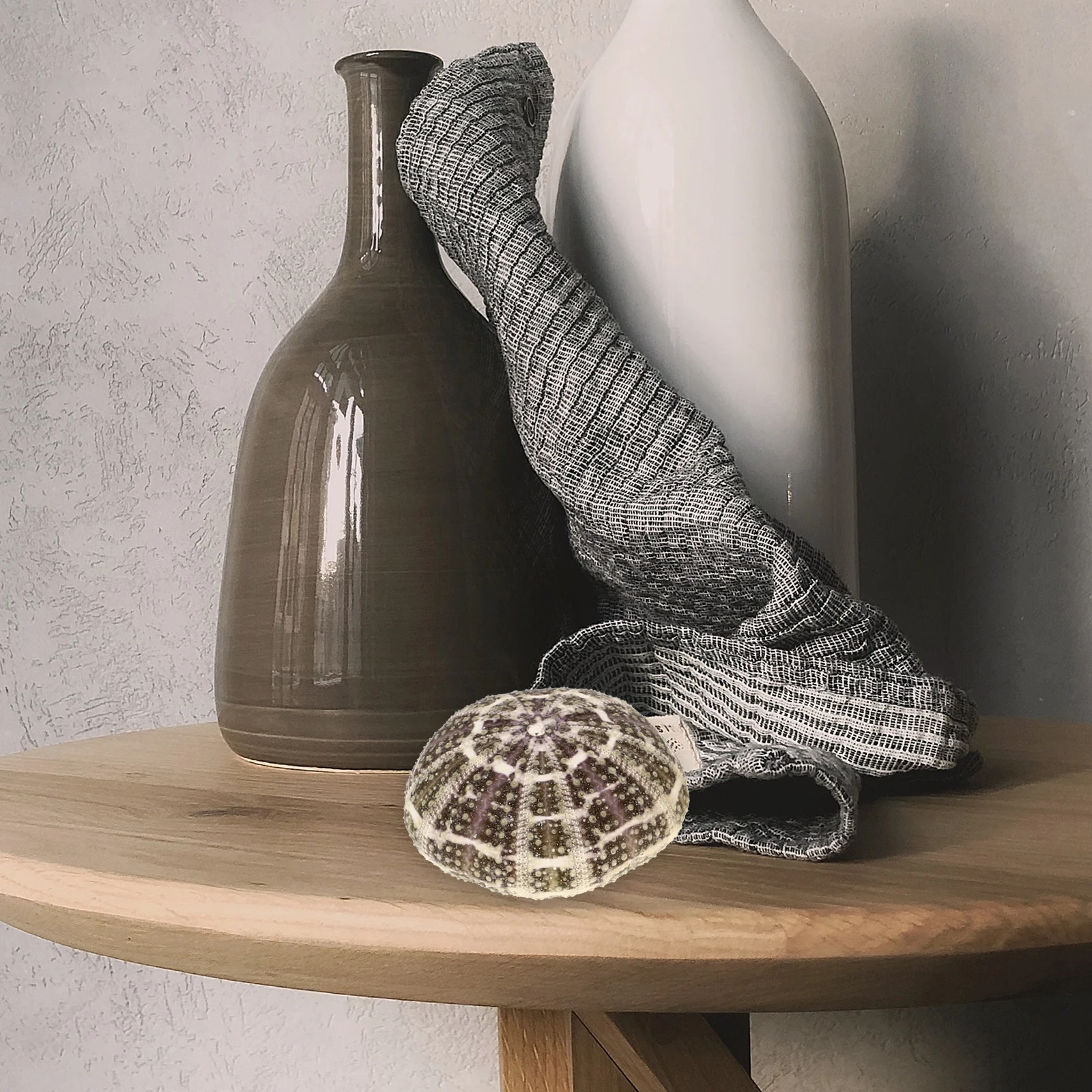 Natural Sea Shells Fish Tank Ornaments Small Flower Pot Stand for Air Plants Containers