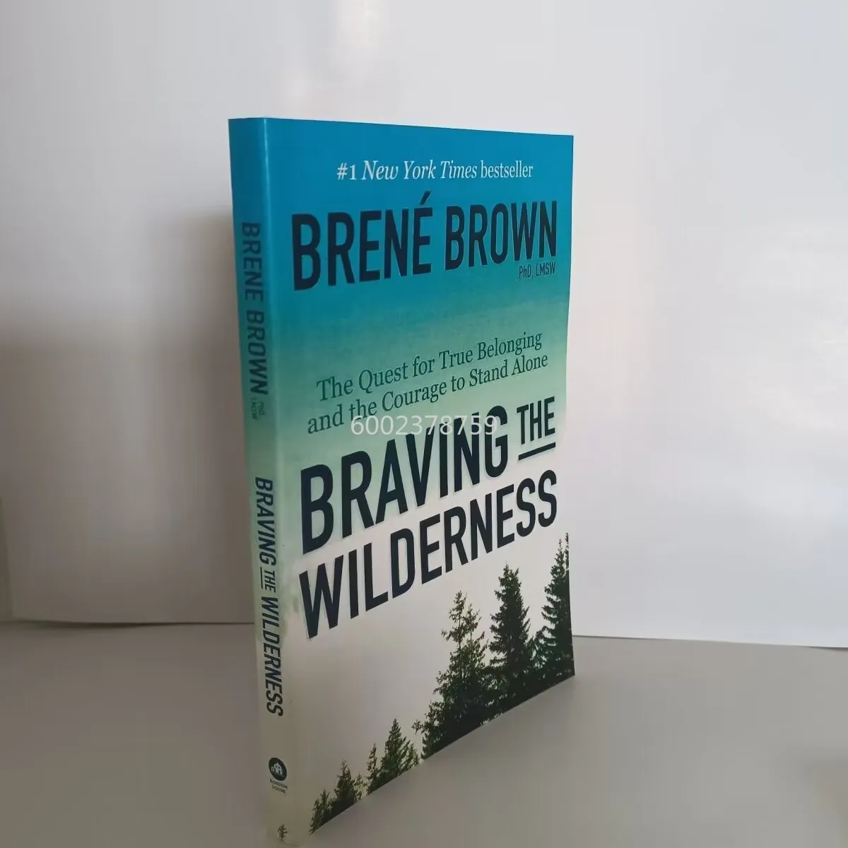 속속 영어 버전 BravingWilderness Courage