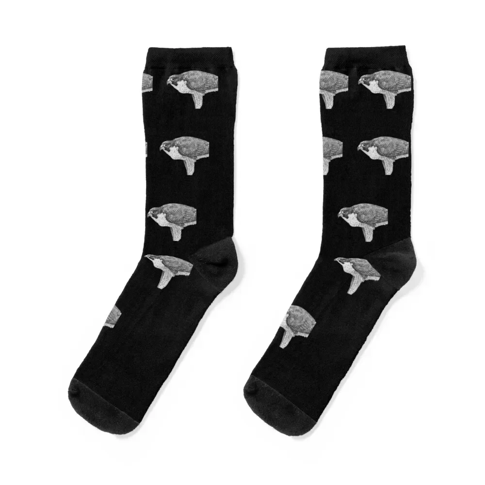 Peregrine Falcon Socks designer brand loose Running Lots Socks For Man Women's